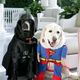 Image for article titled It Takes An Army Of Artists To Feel Darth Vader